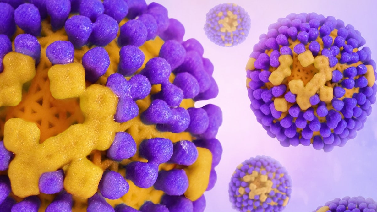 Influenza Virus Creative artwork featuring 3D prints of influenza virus, colorized in Halloween-appropriate colors (surface glycoprotein hemagglutinin is purple and neuraminidase is light orange; the viral membrane is dark orange). Stay safe this Halloween! Credit: NIAID https://www.flickr.com/photos/niaid/52459173988/